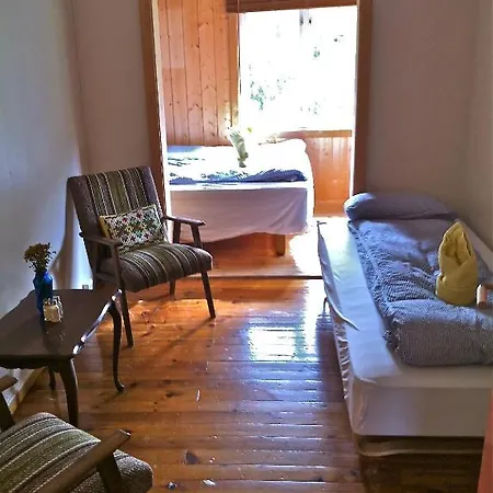 Nigardsbreen Lodge Luster