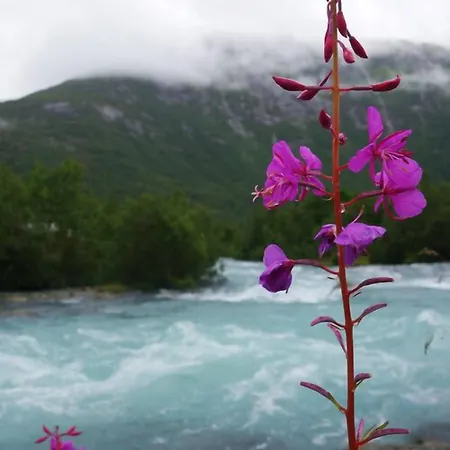 Lodge Nigardsbreen