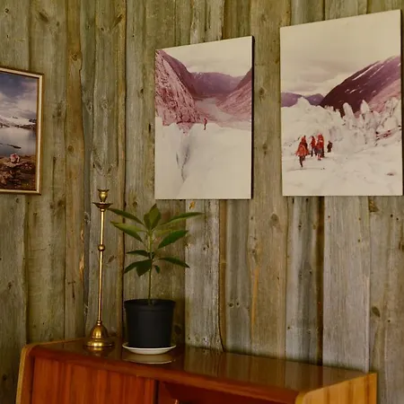 Lodge Nigardsbreen *